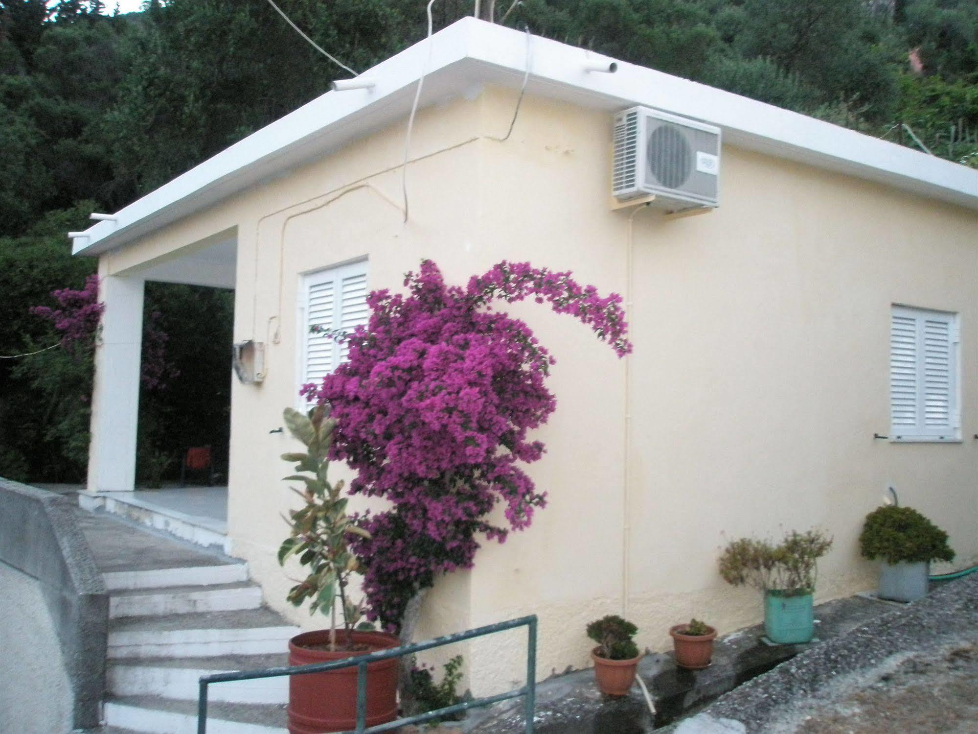 Faliraki Apartments Benitses  Esterno foto